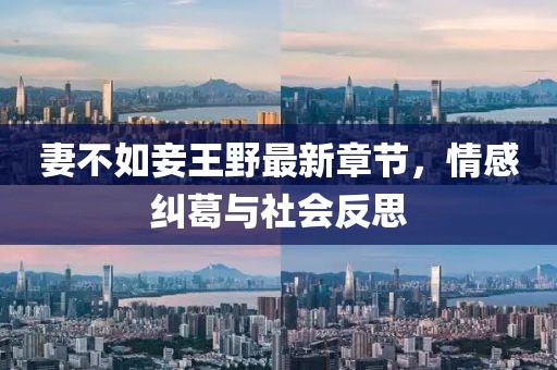妻不如妾王野最新章节，情感纠葛与社会反思