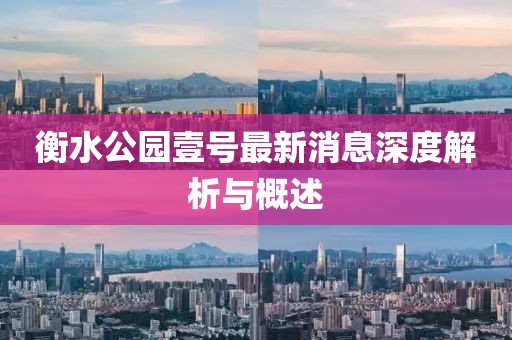 衡水公园壹号最新消息深度解析与概述