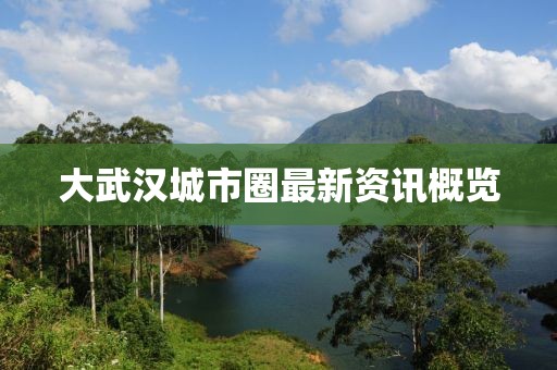 大武汉城市圈最新资讯概览