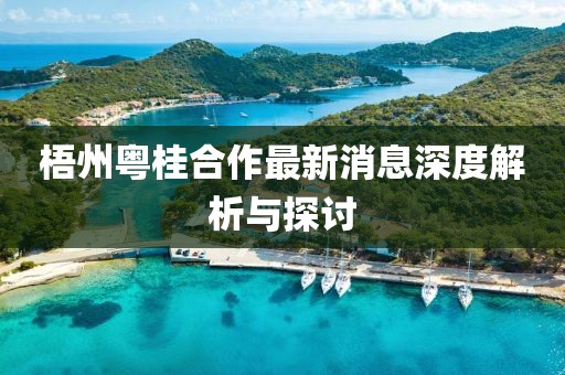 梧州粤桂合作最新消息深度解析与探讨