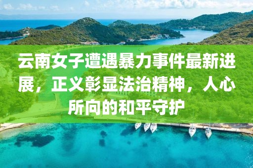 云南女子遭遇暴力事件最新进展，正义彰显法治精神，人心所向的和平守护