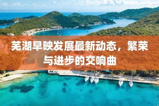 芜湖早映发展最新动态，繁荣与进步的交响曲