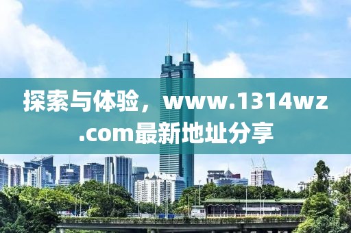 探索与体验，www.1314wz.com最新地址分享