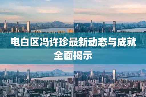 电白区冯许珍最新动态与成就全面揭示