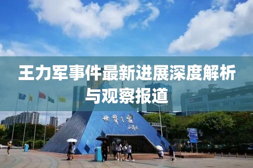 王力军事件最新进展深度解析与观察报道