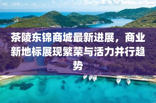 茶陵东锦商城最新进展，商业新地标展现繁荣与活力并行趋势