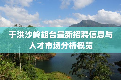 于洪沙岭胡台最新招聘信息与人才市场分析概览