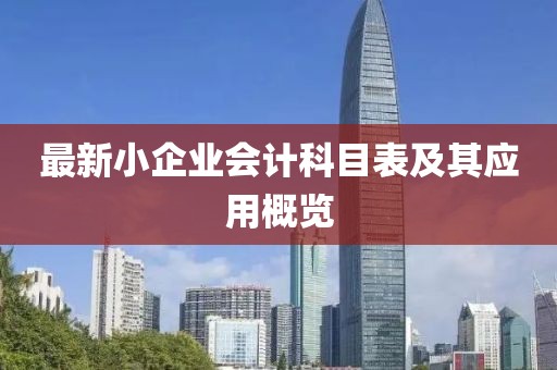 最新小企业会计科目表及其应用概览