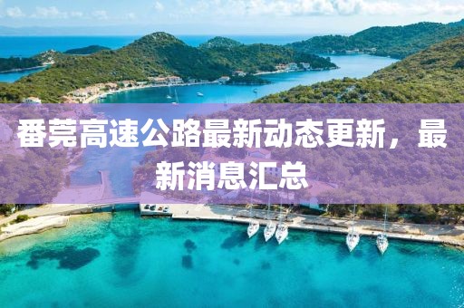 番莞高速公路最新动态更新，最新消息汇总