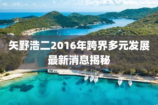 矢野浩二2016年跨界多元发展最新消息揭秘
