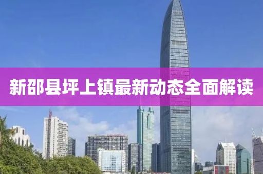 新邵县坪上镇最新动态全面解读