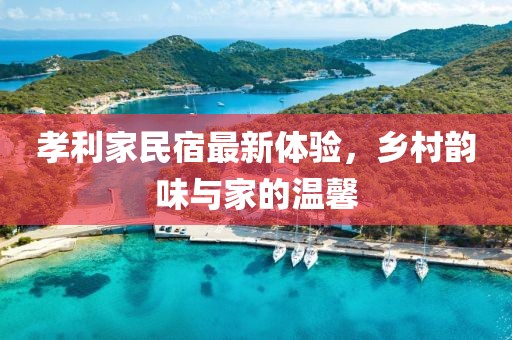 孝利家民宿最新体验，乡村韵味与家的温馨