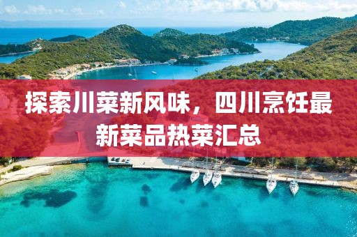 探索川菜新风味，四川烹饪最新菜品热菜汇总