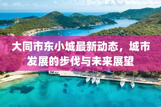 大同市东小城最新动态，城市发展的步伐与未来展望