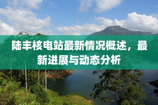 陆丰核电站最新情况概述，最新进展与动态分析