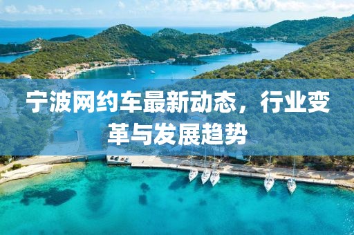 宁波网约车最新动态，行业变革与发展趋势