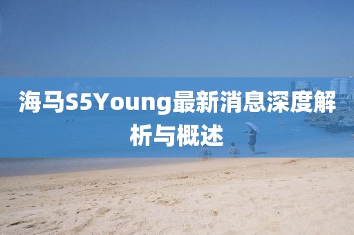 海马S5Young最新消息深度解析与概述