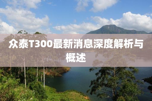 众泰T300最新消息深度解析与概述