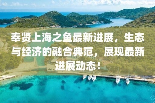 奉贤上海之鱼最新进展，生态与经济的融合典范，展现最新进展动态！