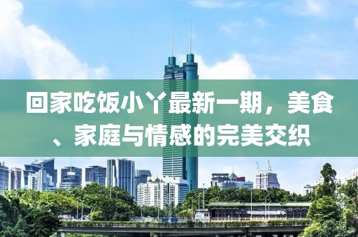 回家吃饭小丫最新一期，美食、家庭与情感的完美交织