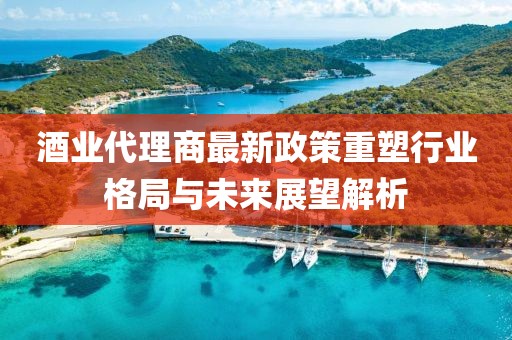 酒业代理商最新政策重塑行业格局与未来展望解析