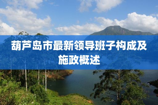 葫芦岛市最新领导班子构成及施政概述