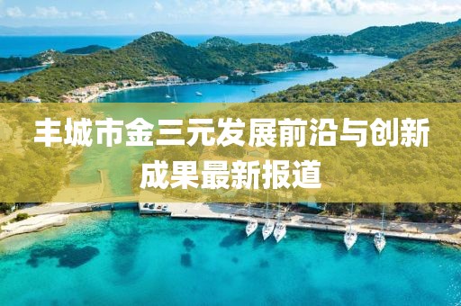 丰城市金三元发展前沿与创新成果最新报道