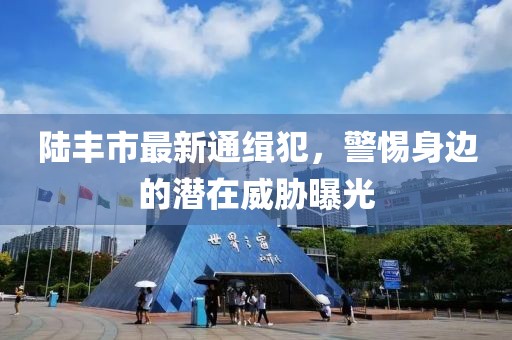 陆丰市最新通缉犯，警惕身边的潜在威胁曝光