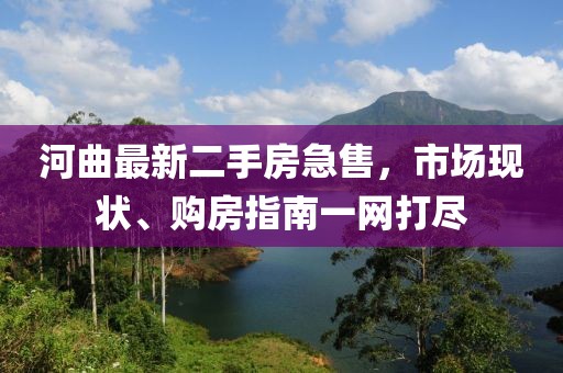 河曲最新二手房急售，市场现状、购房指南一网打尽