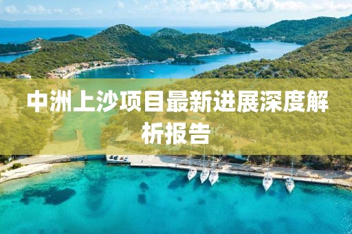 中洲上沙项目最新进展深度解析报告