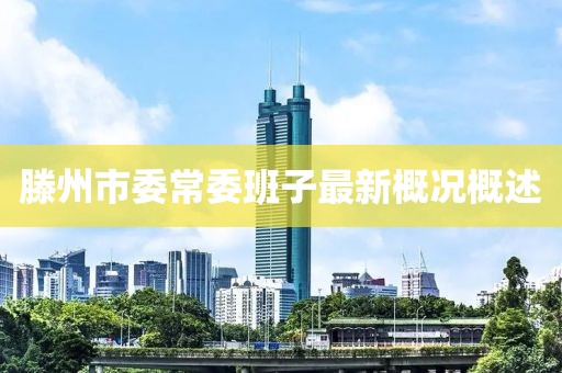 滕州市委常委班子最新概况概述