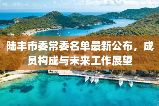 陆丰市委常委名单最新公布，成员构成与未来工作展望