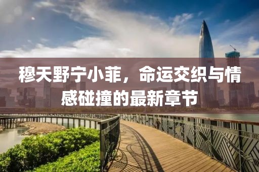 穆天野宁小菲，命运交织与情感碰撞的最新章节