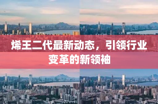 烯王二代最新动态，引领行业变革的新领袖