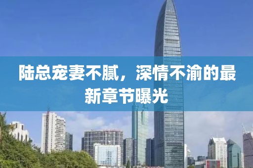 陆总宠妻不腻，深情不渝的最新章节曝光
