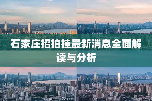 石家庄招拍挂最新消息全面解读与分析