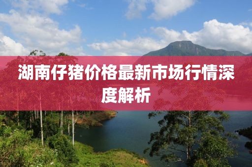 湖南仔猪价格最新市场行情深度解析
