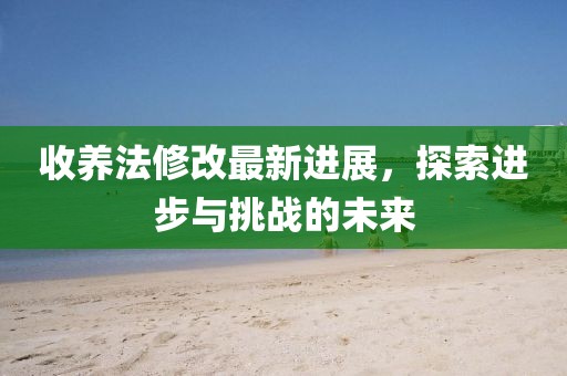 收养法修改最新进展，探索进步与挑战的未来