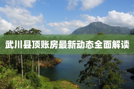 武川县顶账房最新动态全面解读