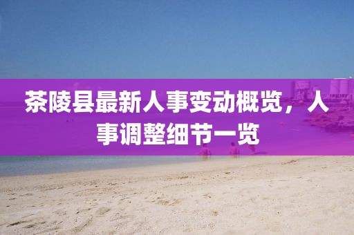 茶陵县最新人事变动概览，人事调整细节一览