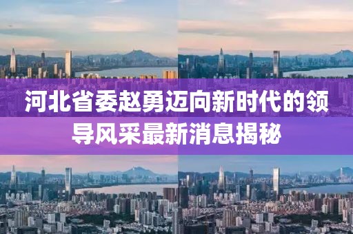 河北省委赵勇迈向新时代的领导风采最新消息揭秘