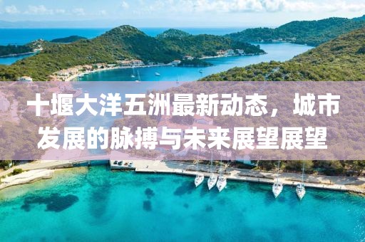 十堰大洋五洲最新动态，城市发展的脉搏与未来展望展望