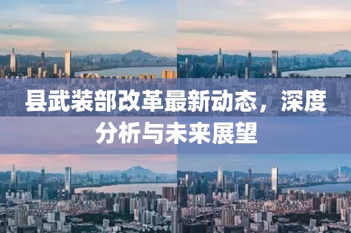 县武装部改革最新动态，深度分析与未来展望
