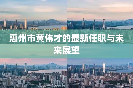 惠州市黄伟才的最新任职与未来展望