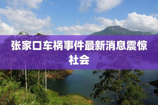 张家口车祸事件最新消息震惊社会