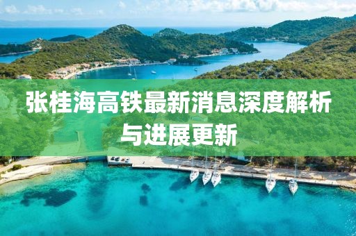 张桂海高铁最新消息深度解析与进展更新