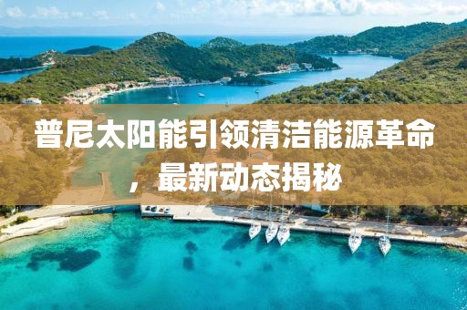 普尼太阳能引领清洁能源革命，最新动态揭秘