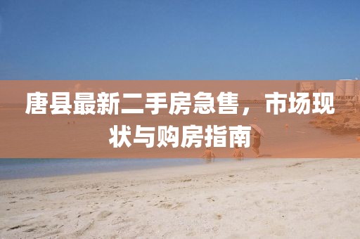 唐县最新二手房急售，市场现状与购房指南