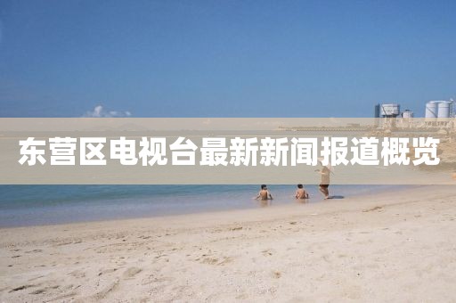 东营区电视台最新新闻报道概览