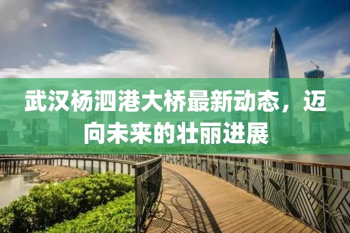 武汉杨泗港大桥最新动态，迈向未来的壮丽进展